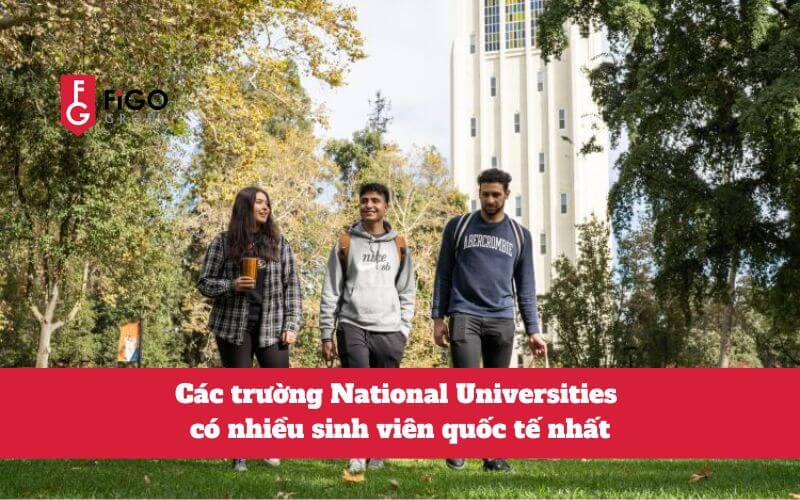 [2024] Các trường National Universities ở Mỹ có nhiều sinh viên quốc tế nhất